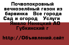 Почвопокровный, вечнозелёный газон из барвинка - Все города Сад и огород » Услуги   . Ямало-Ненецкий АО,Губкинский г.